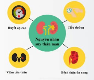 nguyên nhân suy thận