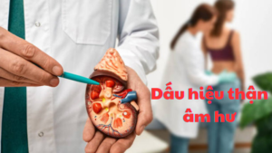 dấu hiệu thận âm hư