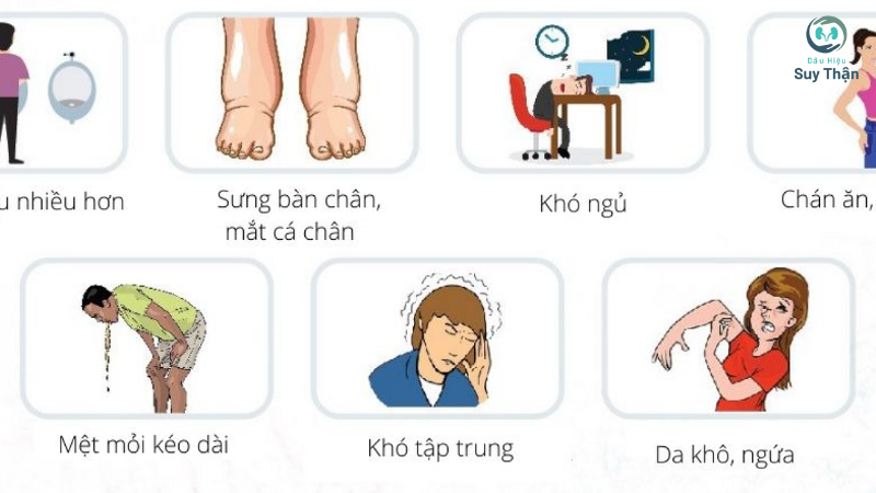 dấu hiệu thận yếu